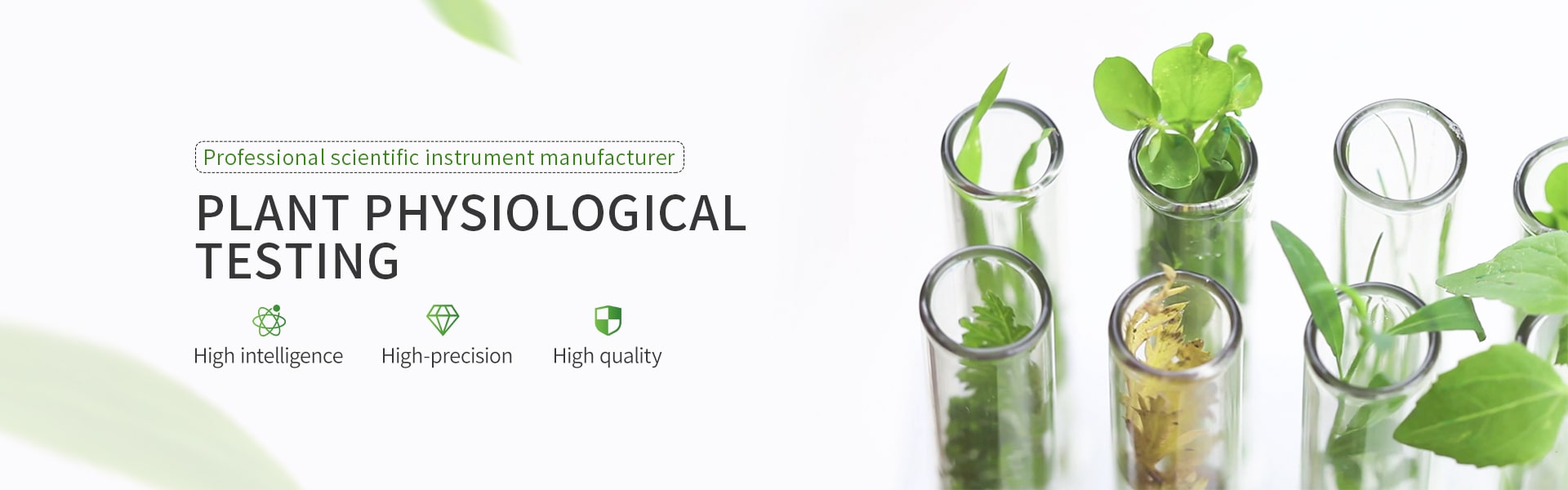 Shandong Hengmei Electronic Technology Co., Ltd